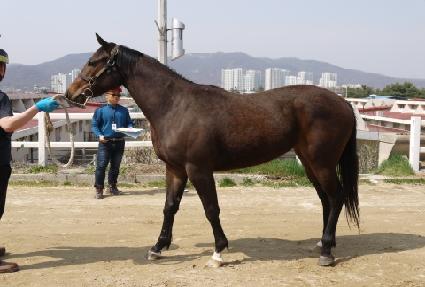 �ڸ��������� ����