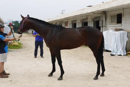 ���������� ����