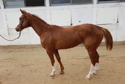 ���̽���ǳ ����