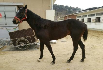 ��ǳ��ȭ ����