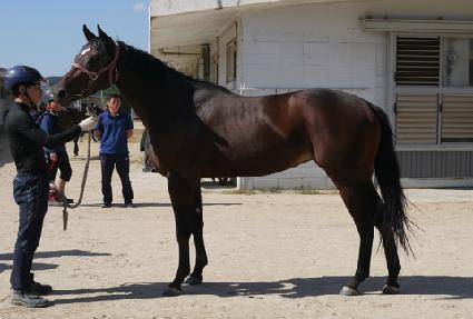 ��ġ�� ����