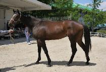 ������Ÿ�� (P.K. TIME) ����