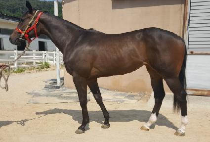 ���̳� ����