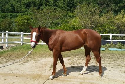 ������ ����