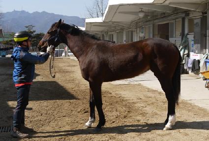 ��Ĺ ����