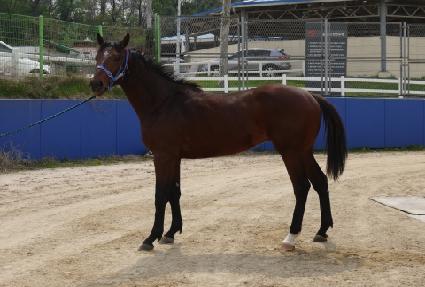 �ҿ������ ����