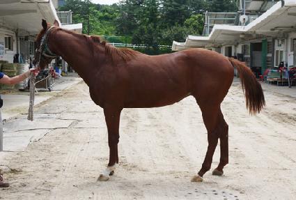 ������ ����