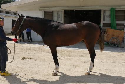 �ε�� ����