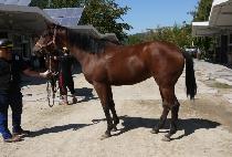 �������Ϸ� (YUKWAEHAN HARU) ����