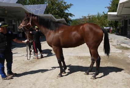 �������Ϸ� ����