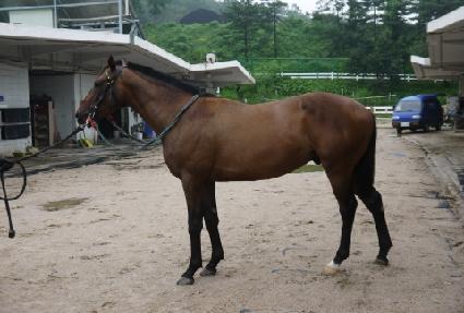 ����ǳ��� ����