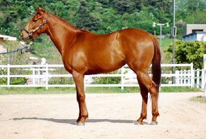 �����Ǳ�ȯ ����