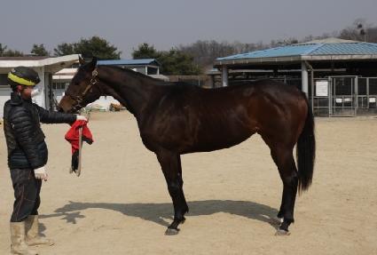 �������� ����