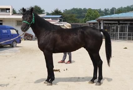 ���̾���ġ ����