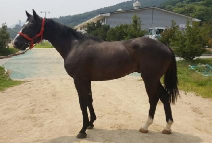 �������� ����