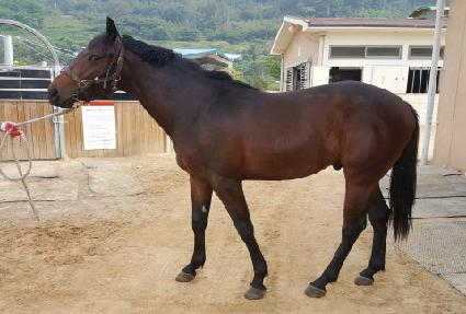 ��ι�ȣ ����