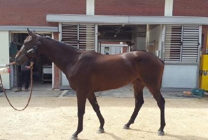 ������� ����