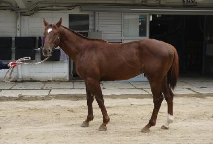 �޸��� ����