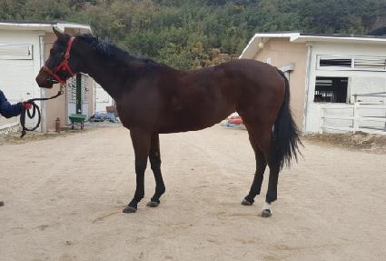 �ݾư���Ʈ ����