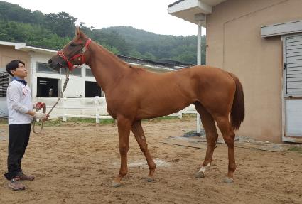 Ŭ���ĸ�ġ ����