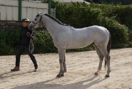 ����� ����