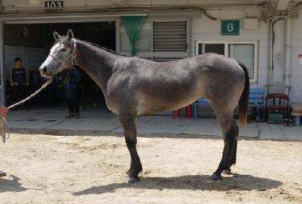 ���彺�� ����