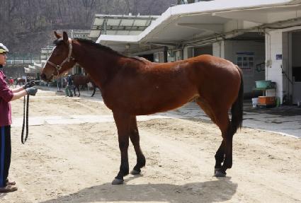 õ�� ����