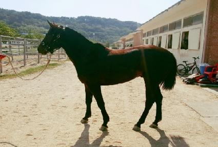 ������ġ ����