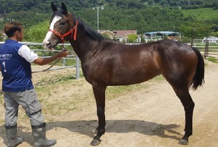 ������ ����