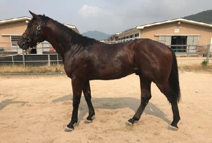 ������� ����