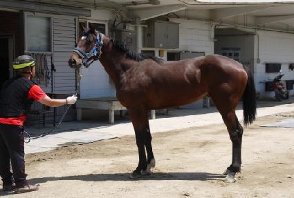 �Ѿ˰��� ����