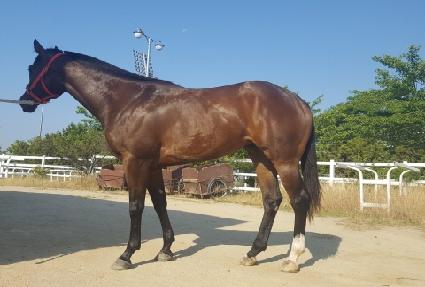 �ο����� ����