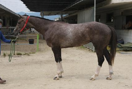 ŷ���� ����