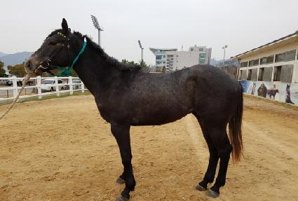 ��׿��� ����