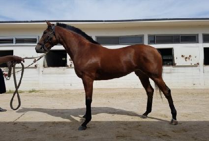 �޴���ȣ�� ����