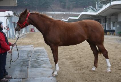 ���ۿ��� ����