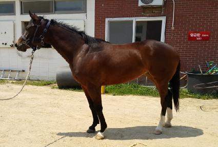 �����۷θ� ����