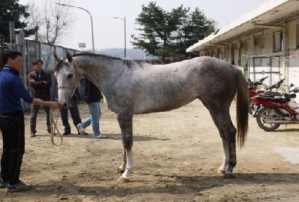 �ǹ����Ǵ� ����