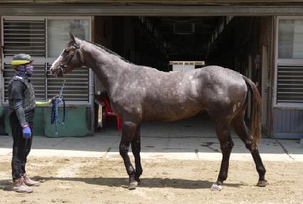 ���̵�����Ʈ ����