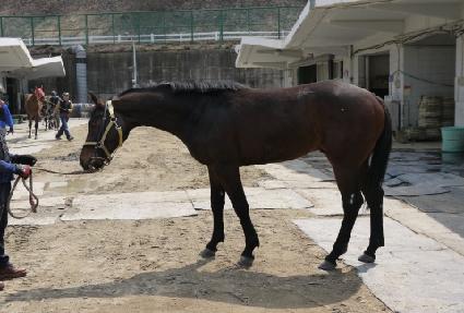 �Ƹ��������� ����