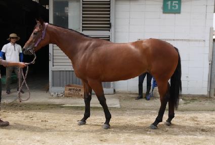 �̶�Ŭ��� ����