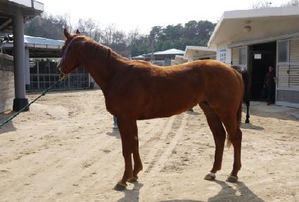 �Ѽ��۷θ� ����