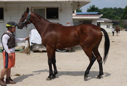 ������� ����