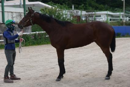 ��Ŭ�����Ƽ ����