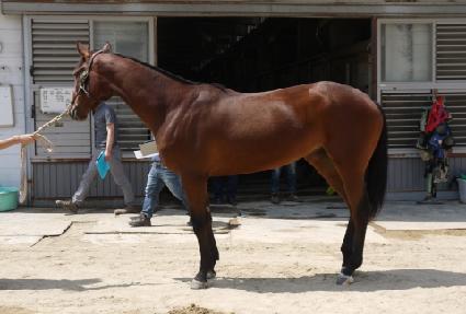 ������Ȯ�� ����