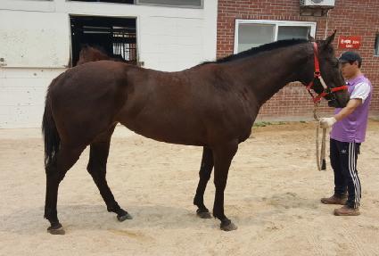 ����ο� ����