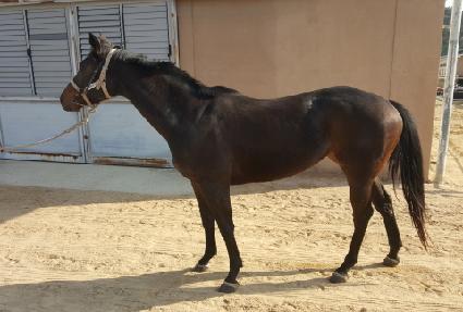 ȯ���� ����