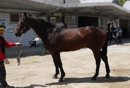 �������� ����