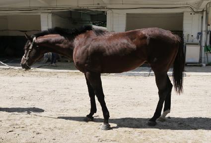 ������ ����