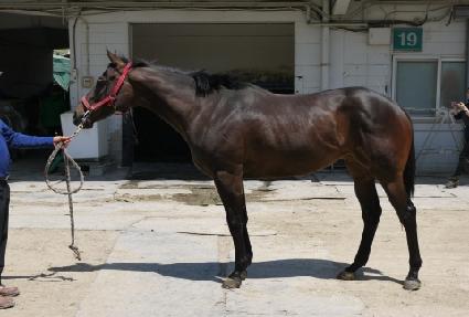 ������ ����